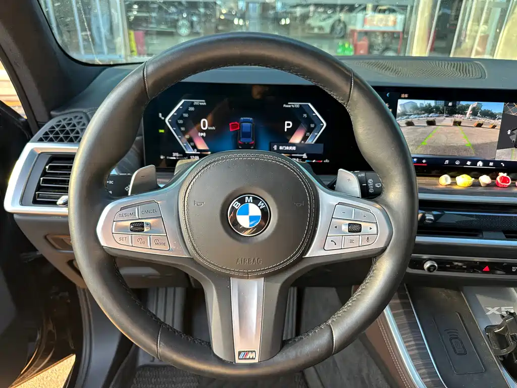 BMW X5 — миниатюра 12