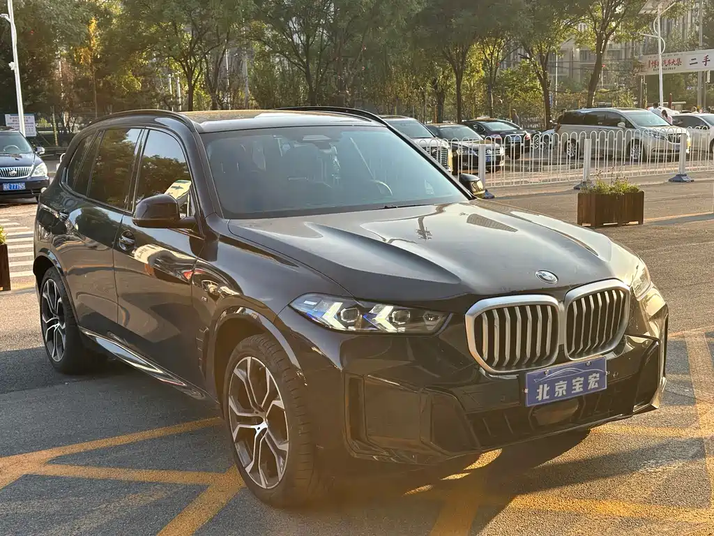 BMW X5 — миниатюра 3