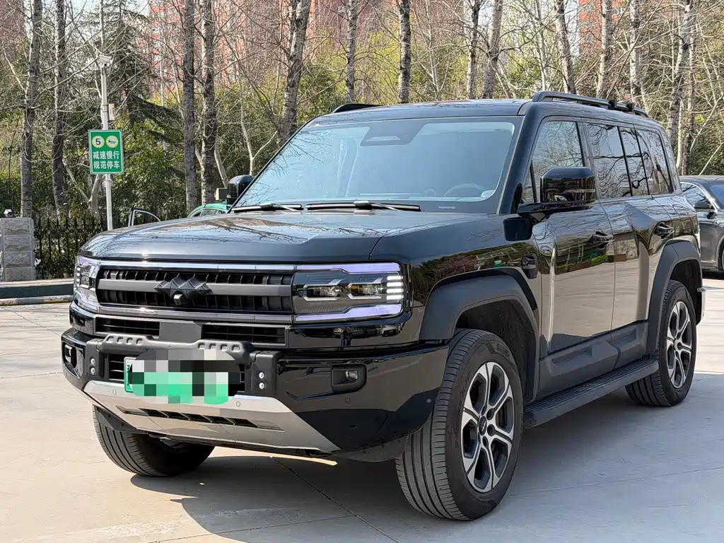 FANG CHENG BAO LEOPARD 5