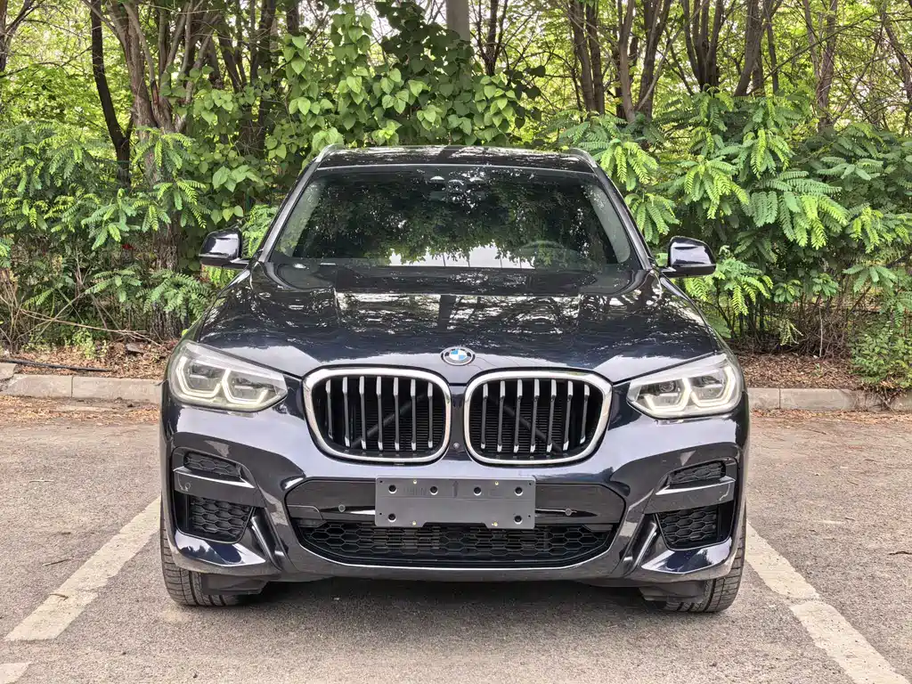 BMW X3 2021 xDrive30i Lead M Sport
