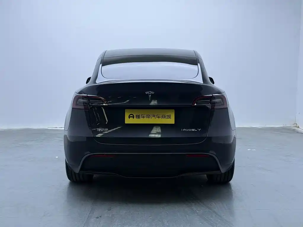 Tesla Model Y — миниатюра 5