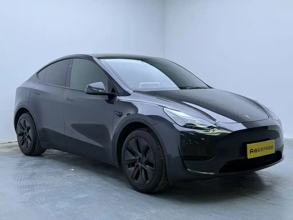 Tesla Model Y — миниатюра 3