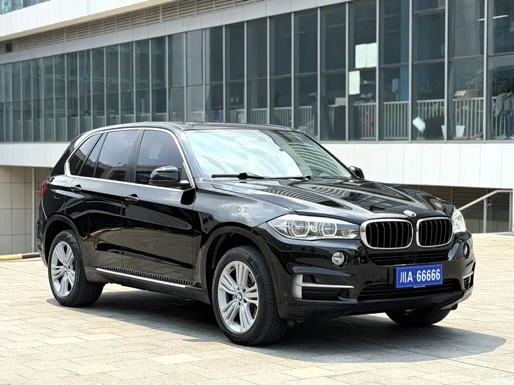 BMW X5 (Import) — миниатюра 3