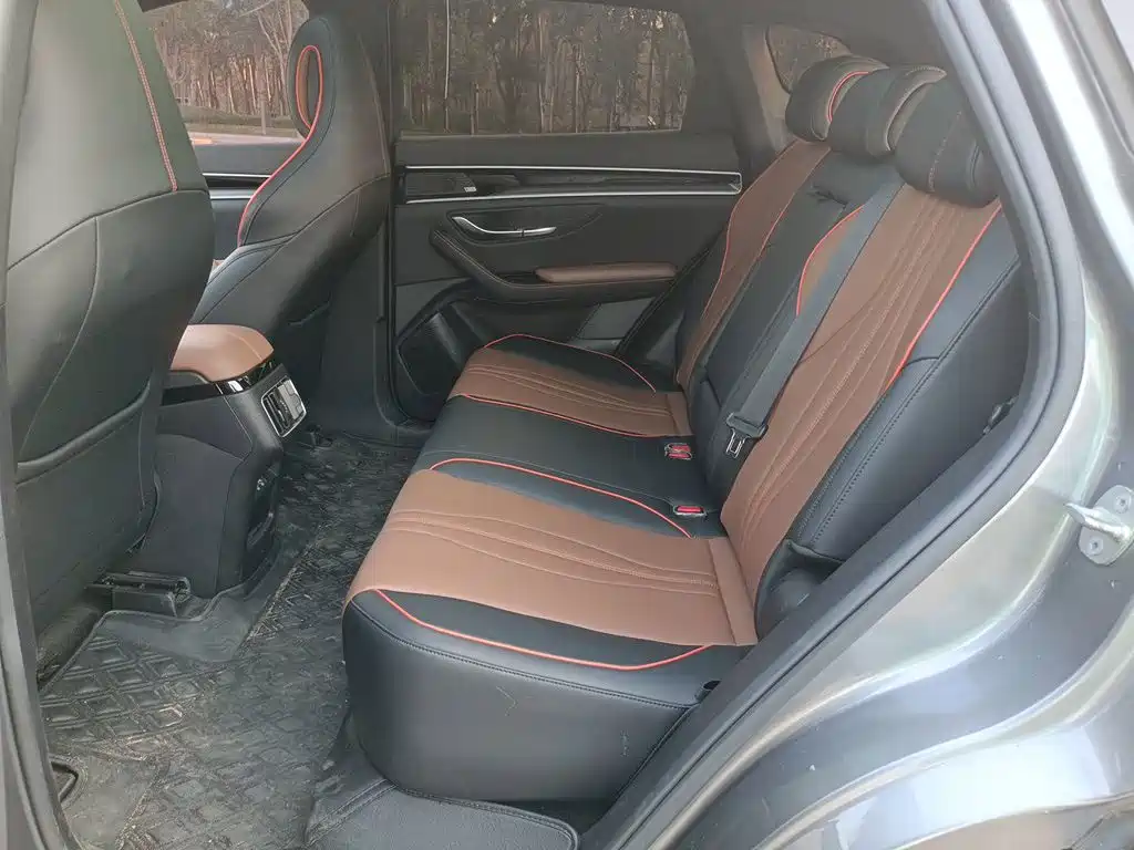 BYD PLUS — миниатюра 13
