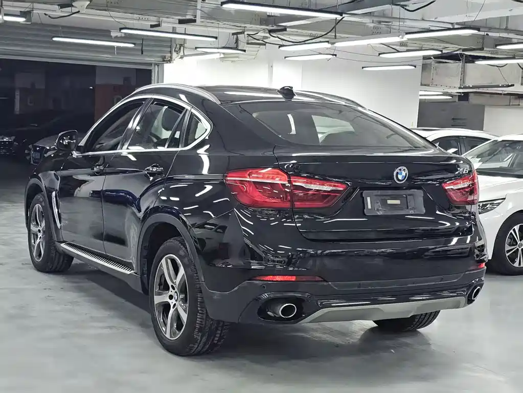 BMW X6 — миниатюра 17