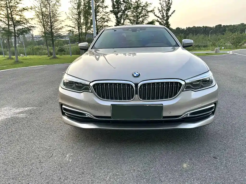 BMW 5 SERIES NEW ENERGY
