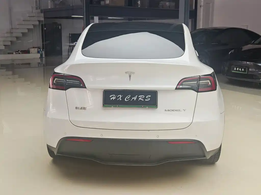 Tesla Model Y — миниатюра 5