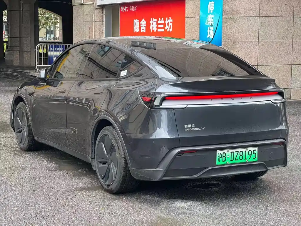 Tesla Model Y — миниатюра 9