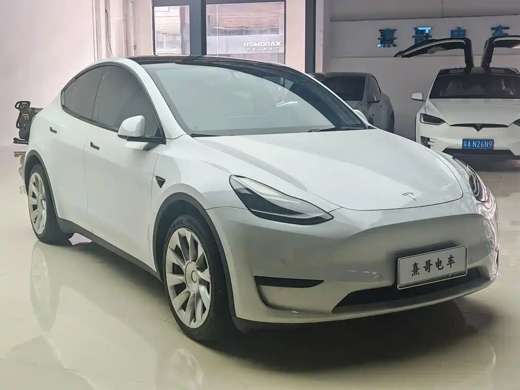 Tesla Model Y — миниатюра 3