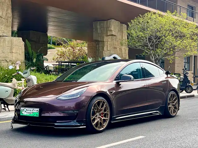 TESLA MODEL 3 2019