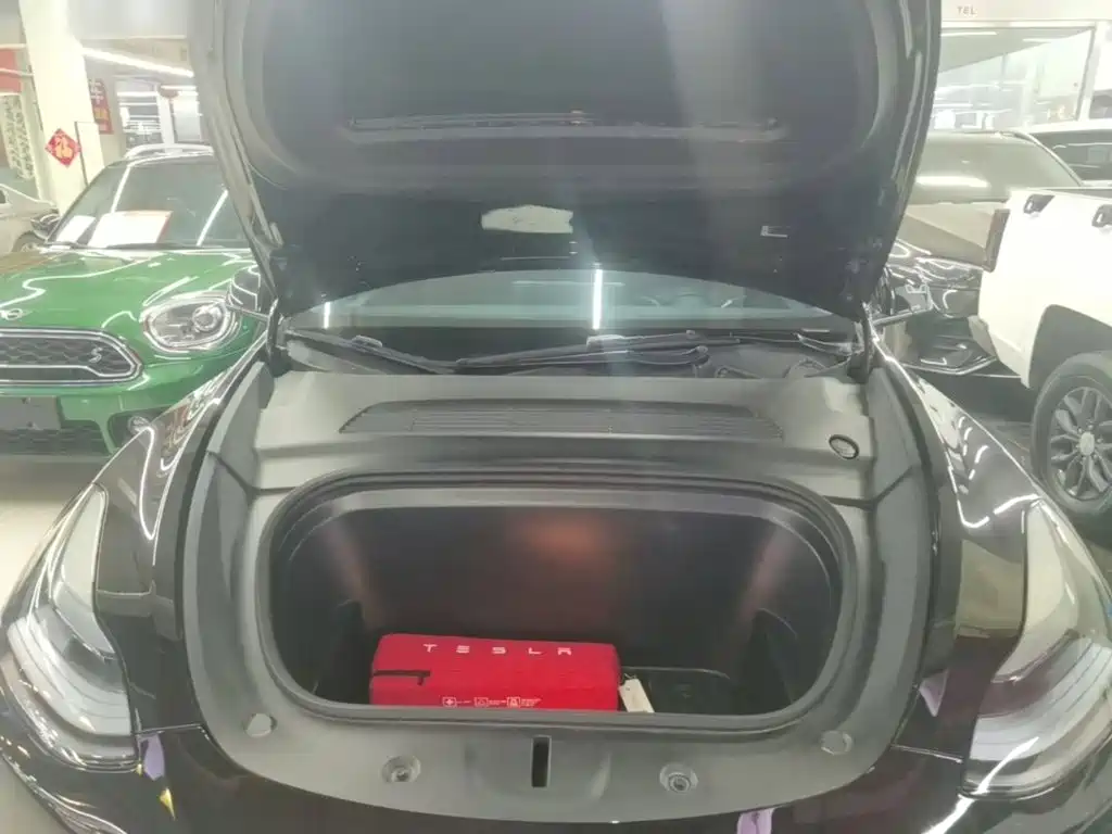 Tesla Model Y — миниатюра 20