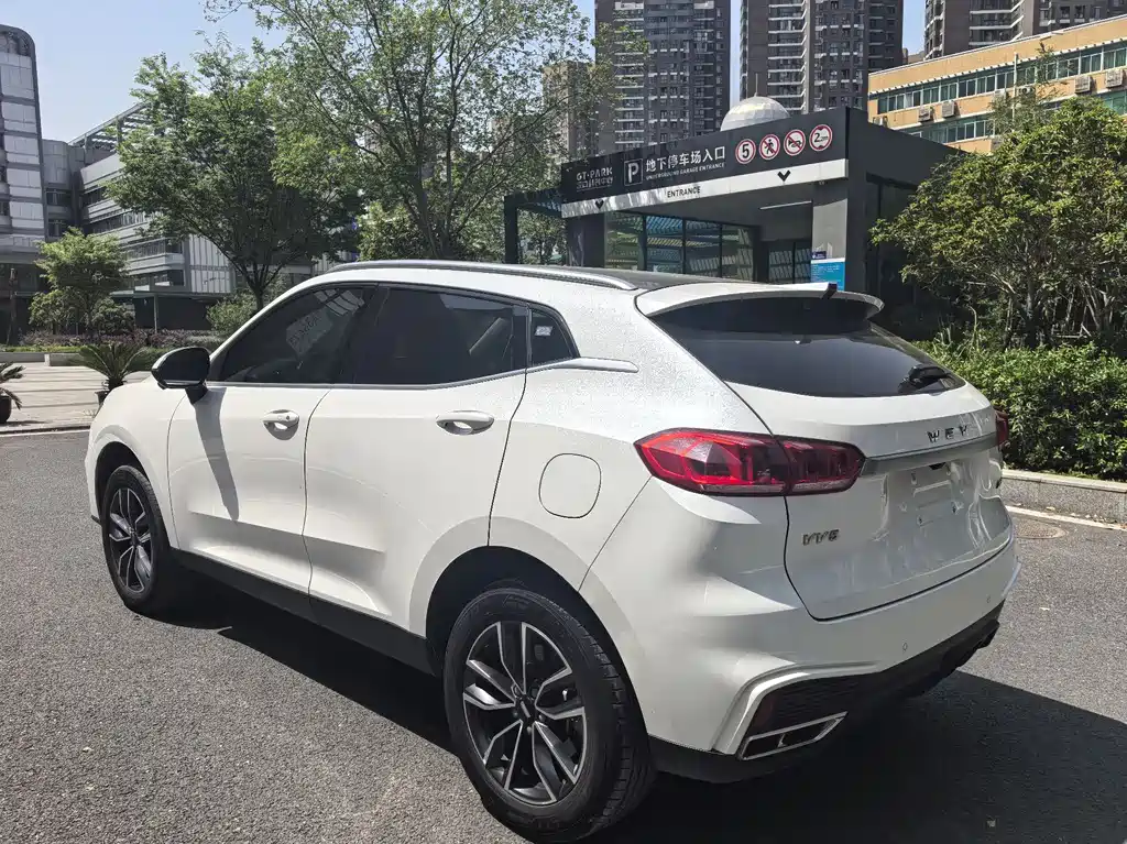 WEI PAI WEI BRAND VV5