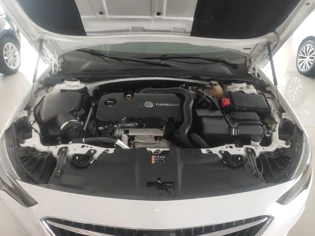 Buick Regal — миниатюра 20