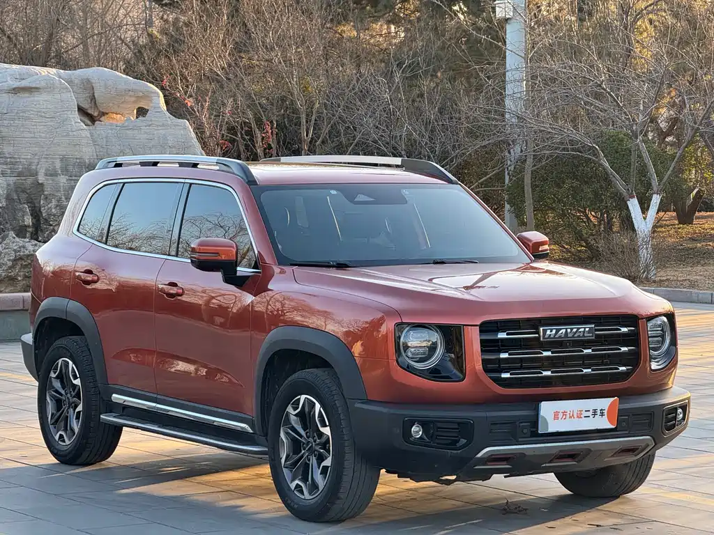 HAVAL BIG DOG