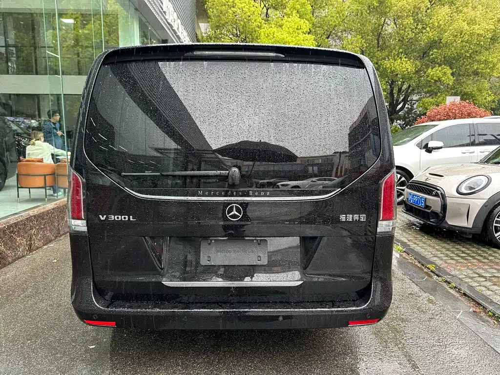 Mercedes-Benz V-Class V 2024 V 300 L Luxury