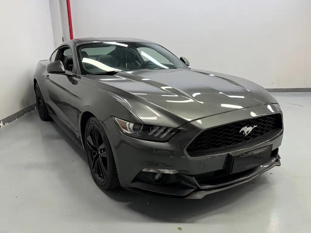 Ford Mustang — миниатюра 2