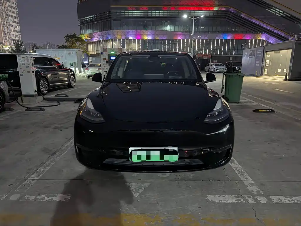 Tesla Model Y — миниатюра 2