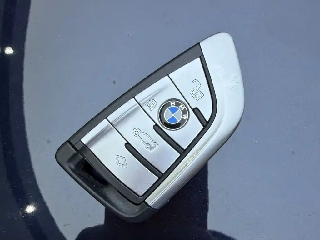 BMW X5 — миниатюра 7