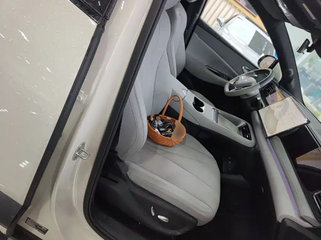 BYD Sealion 06 — миниатюра 25