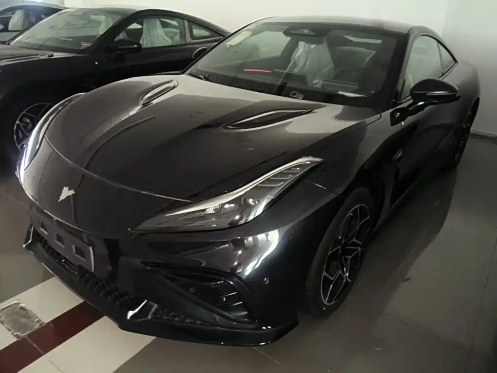 Neta Neta GT