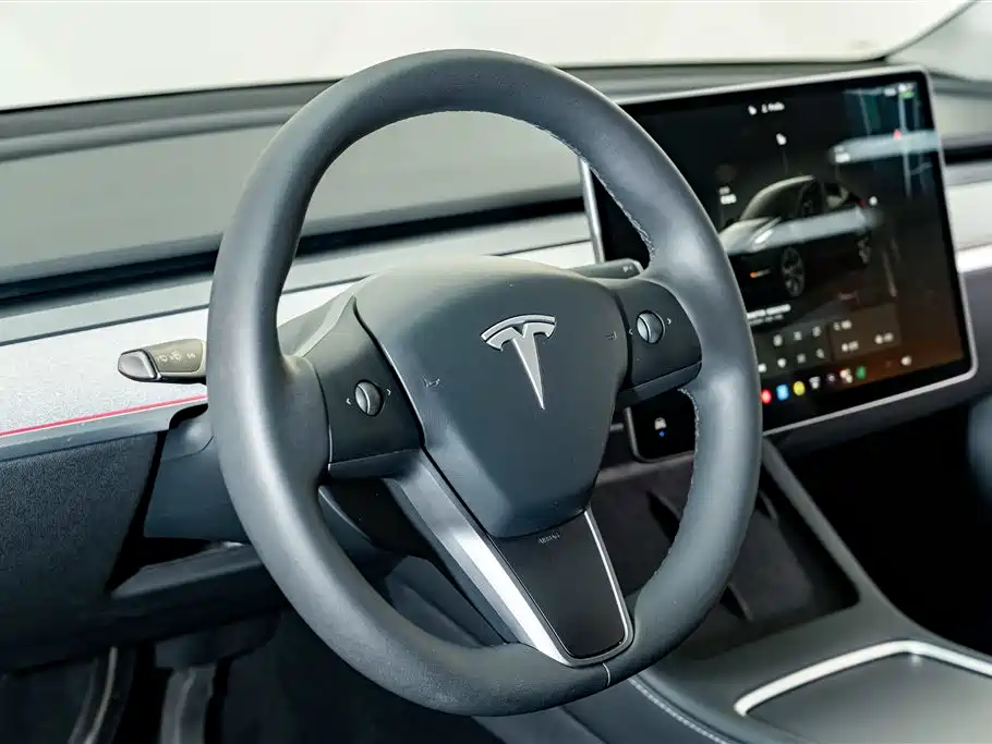 Tesla Model Y — миниатюра 11