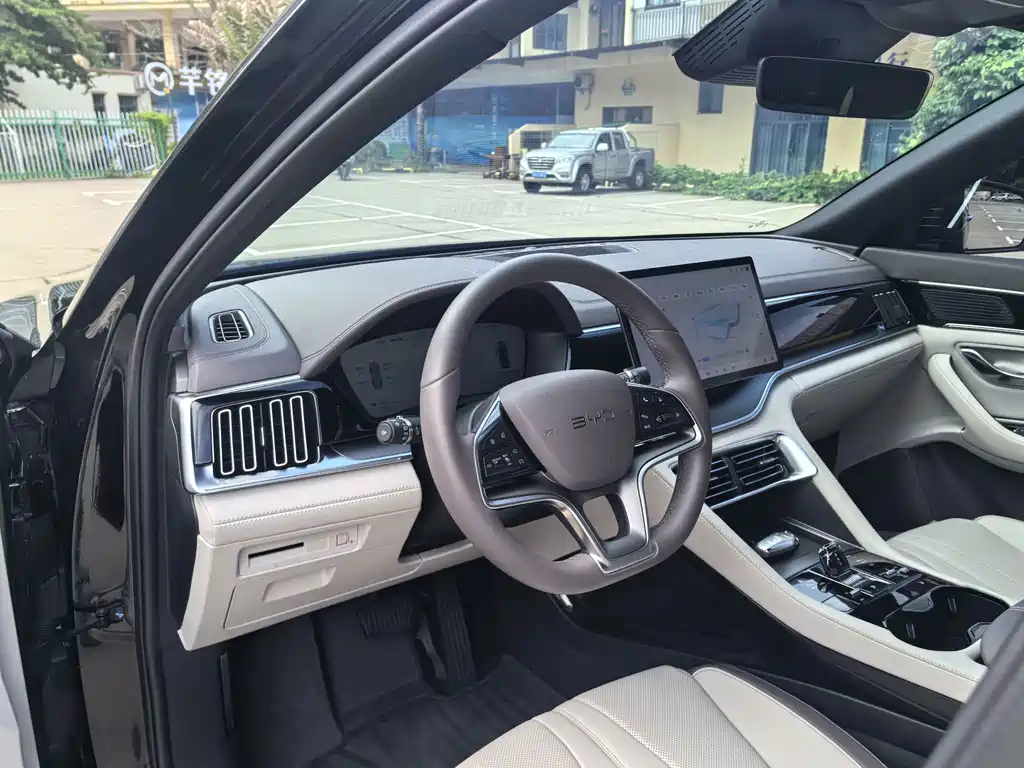 BYD PLUS New Energy — миниатюра 13