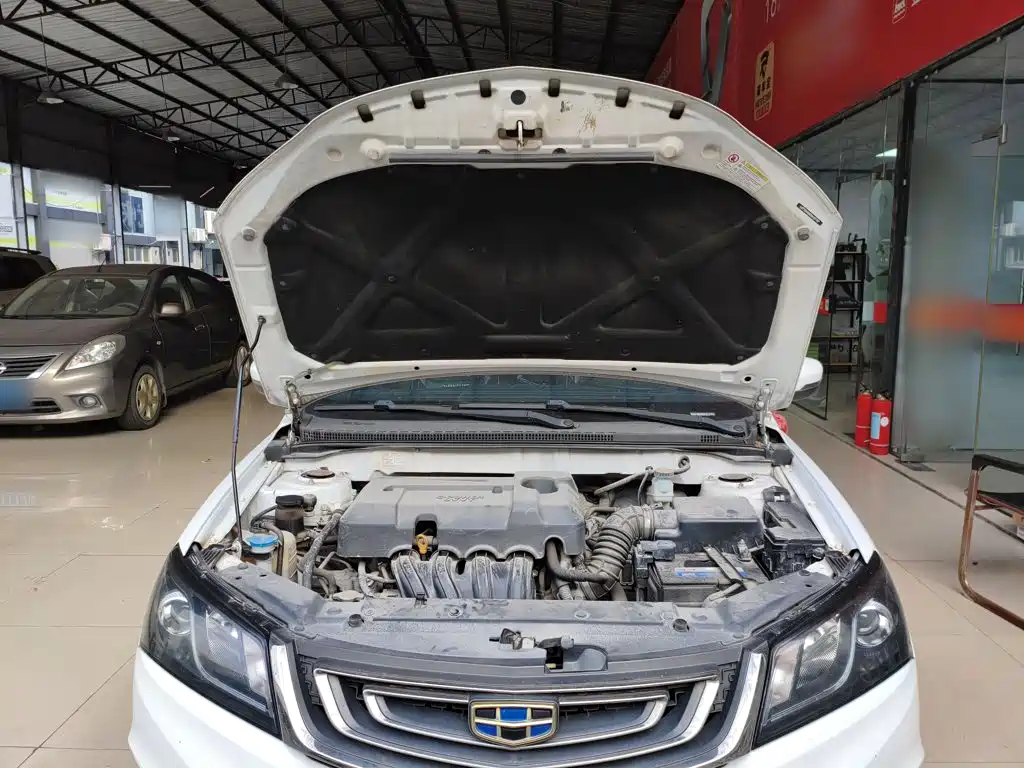 Geely Emgrand — миниатюра 20