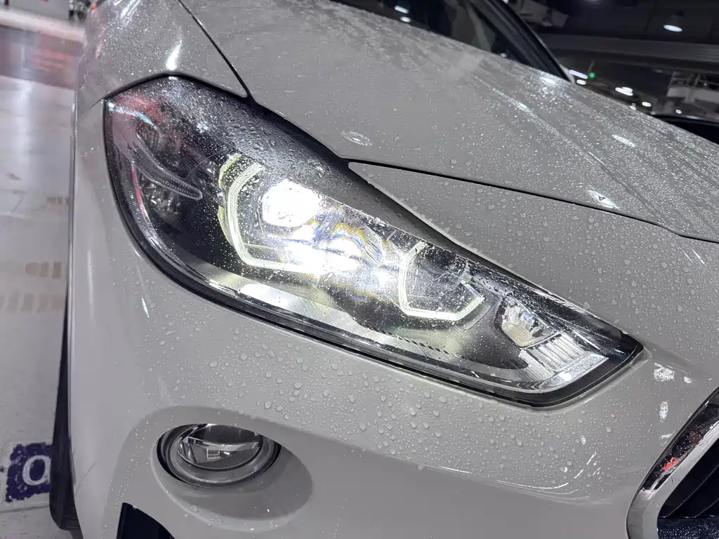 BMW X2 (Import) — миниатюра 20