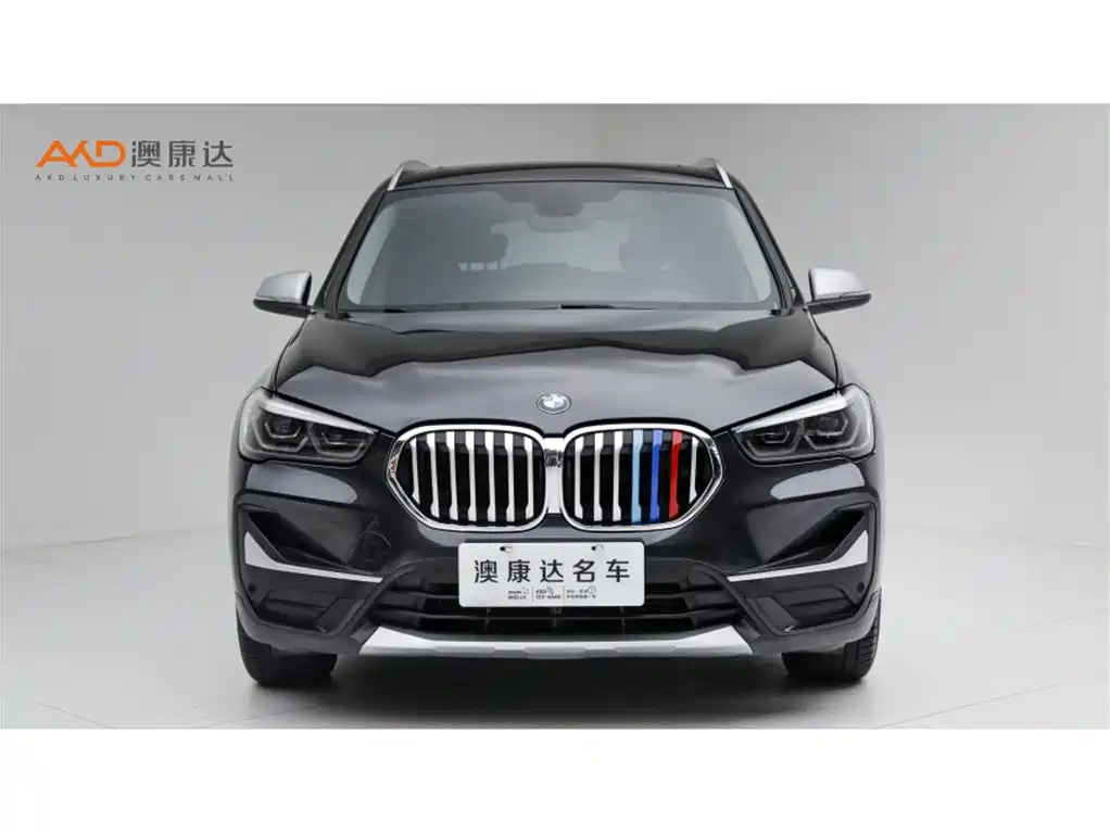 BMW X1 — миниатюра 2