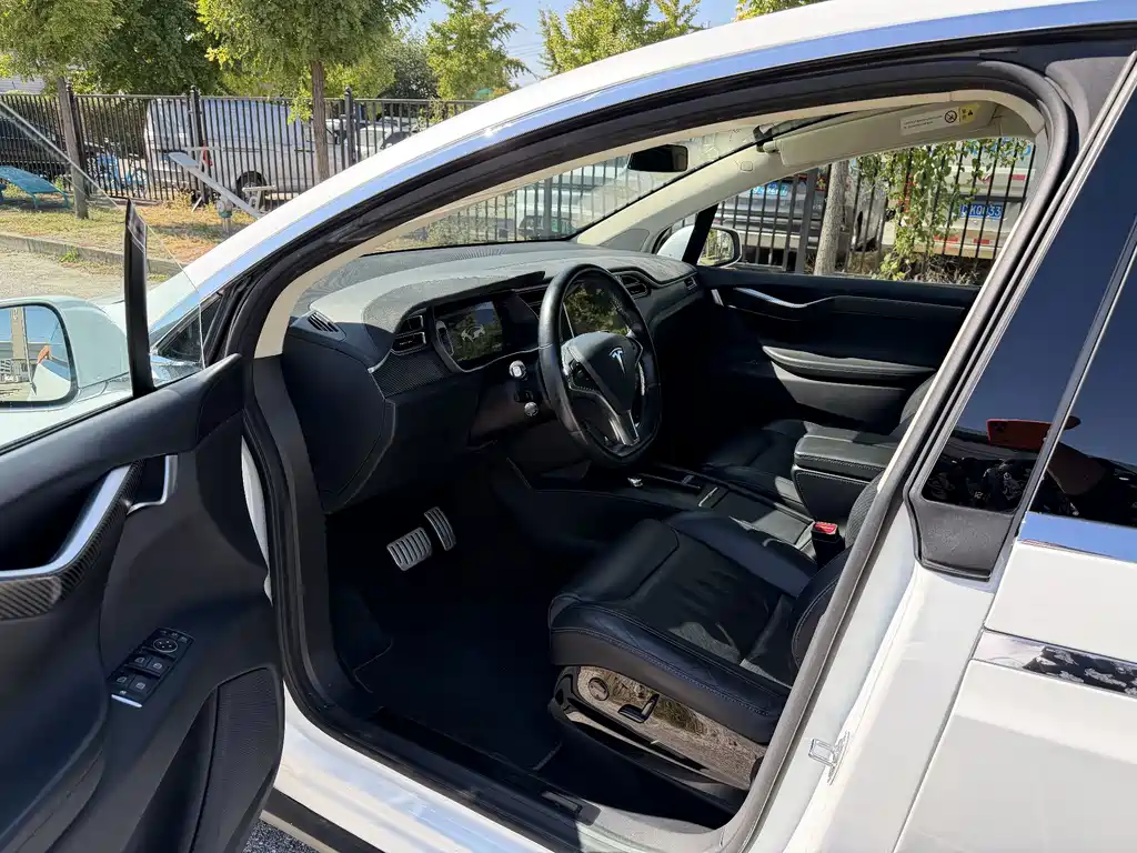 Tesla Model X — миниатюра 11