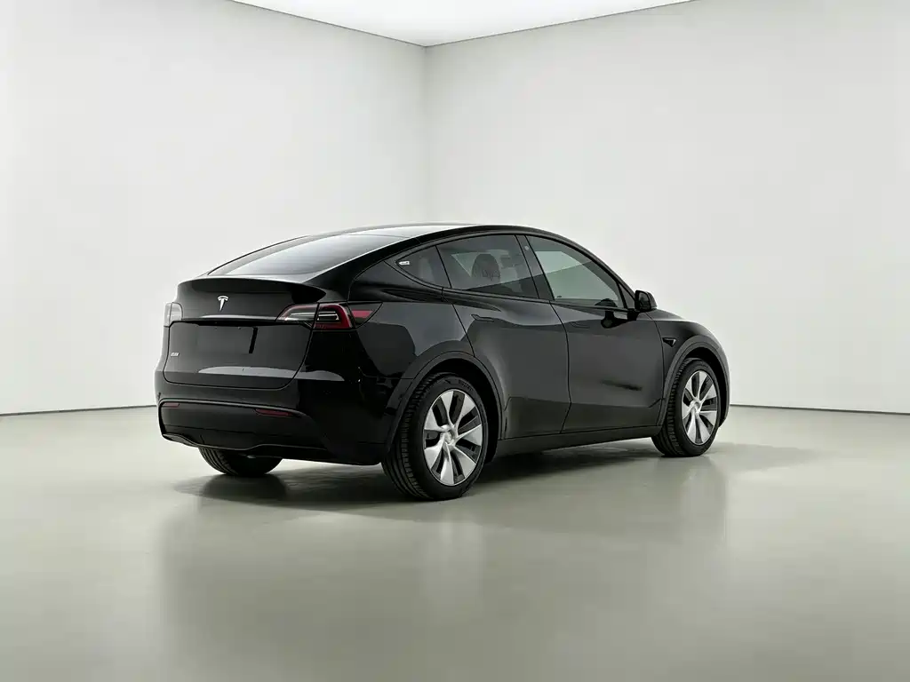 Tesla Model Y — миниатюра 7