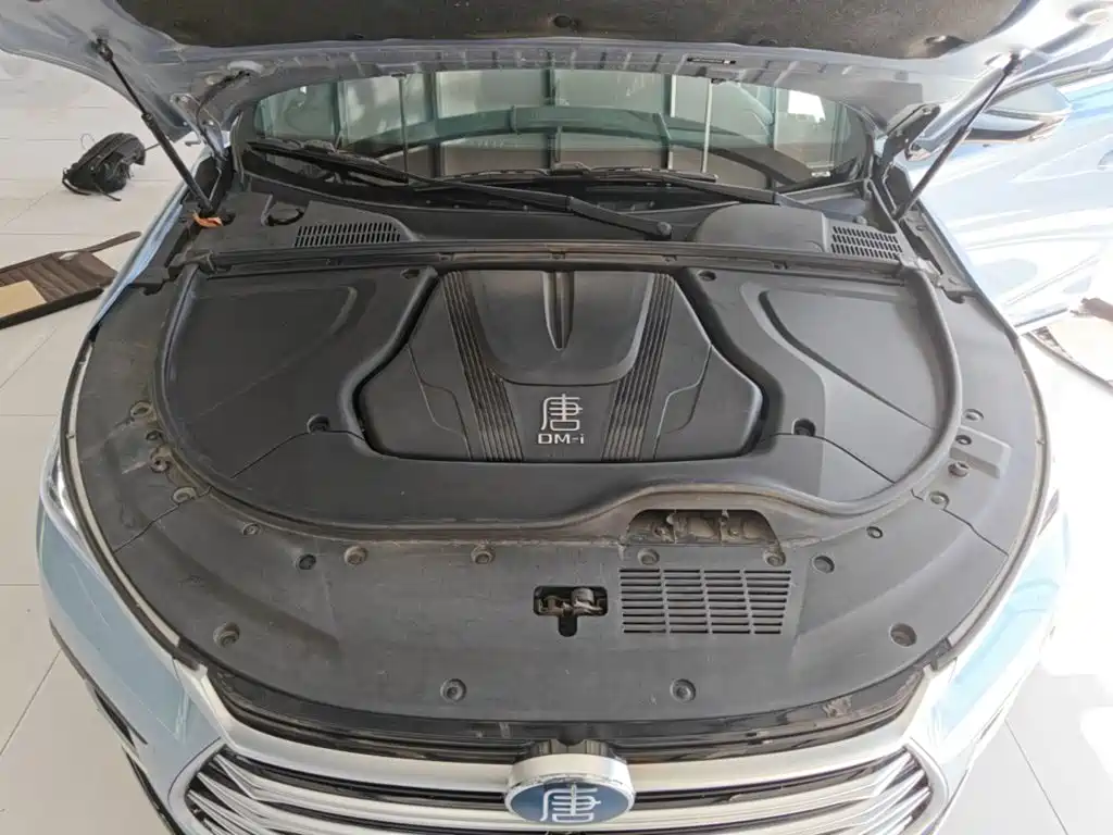BYD Tang New Energy — миниатюра 20