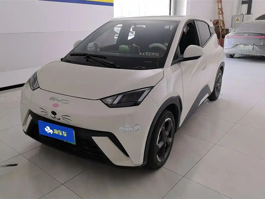 Byd Seagull 2024