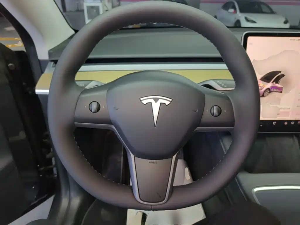 Tesla Model Y — миниатюра 11