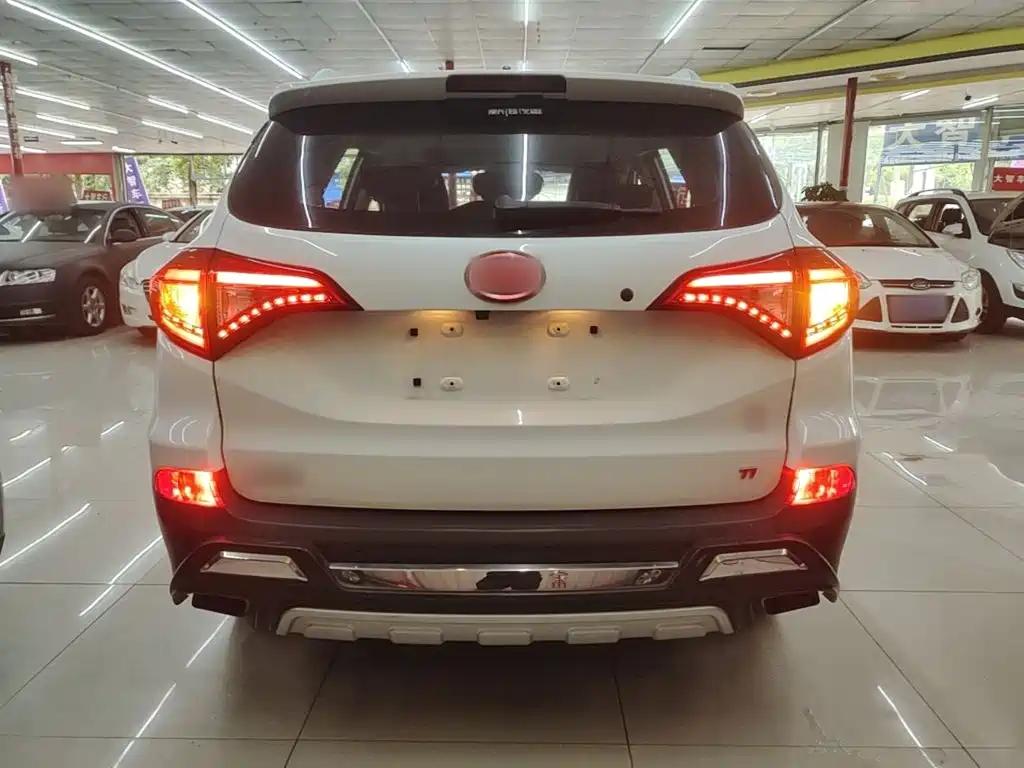 BYD Song — миниатюра 6
