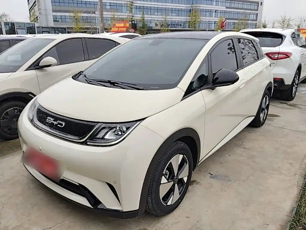 BYD Dolphin — миниатюра 2