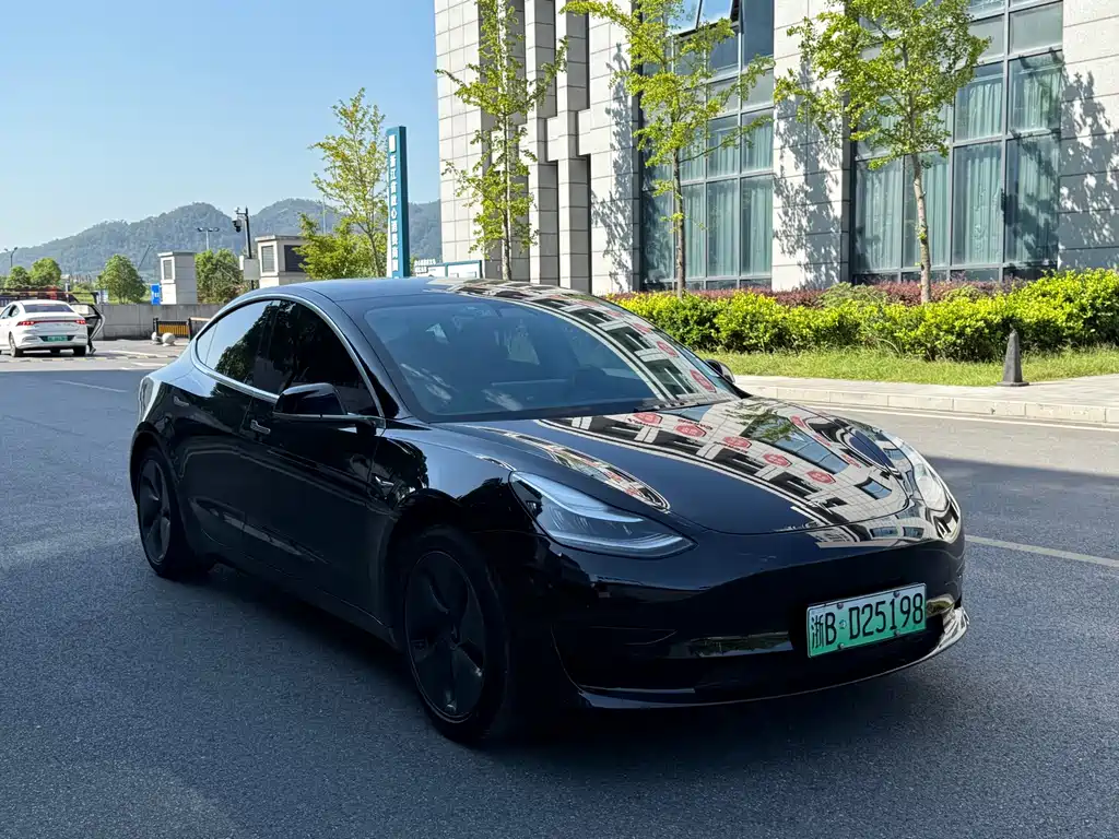 Tesla Model 3 — миниатюра 3
