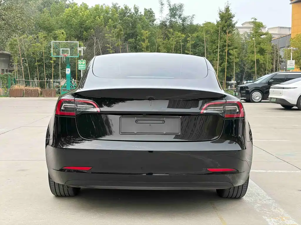 Tesla Model 3 — миниатюра 5