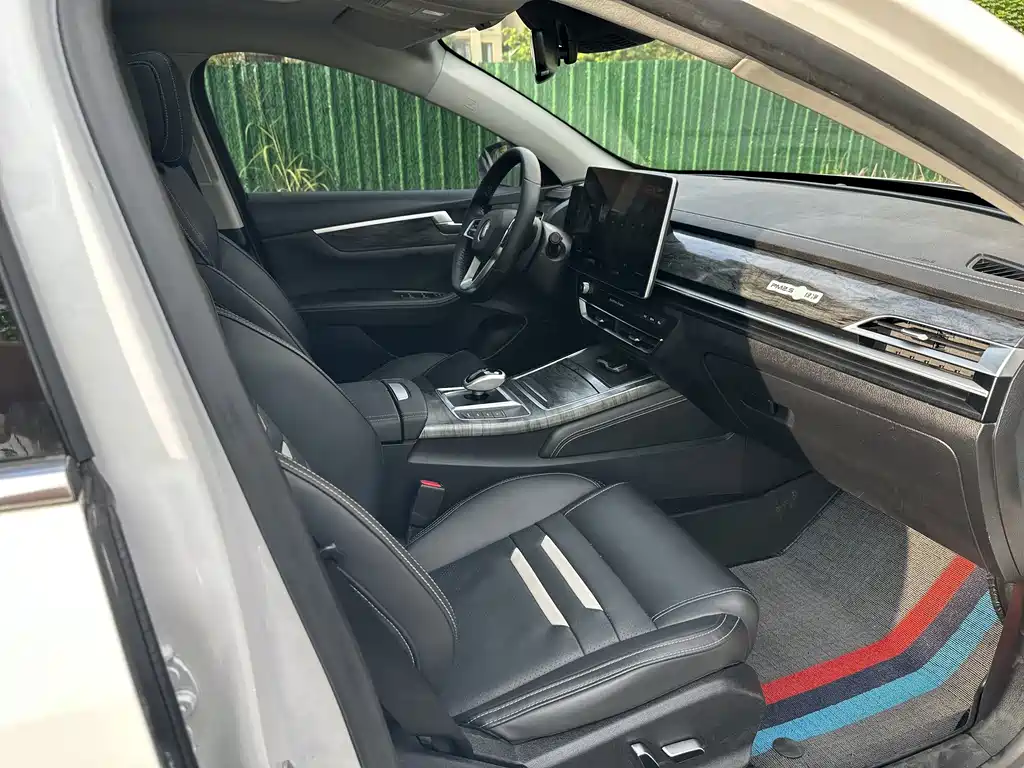 BYD Qin Pro NEV — миниатюра 16