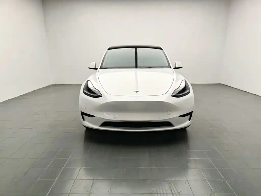 Tesla Model Y — миниатюра 2