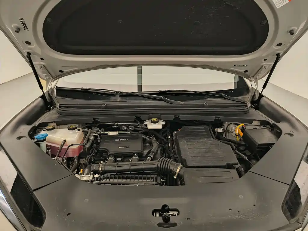 BYD Sealion 06 — миниатюра 17