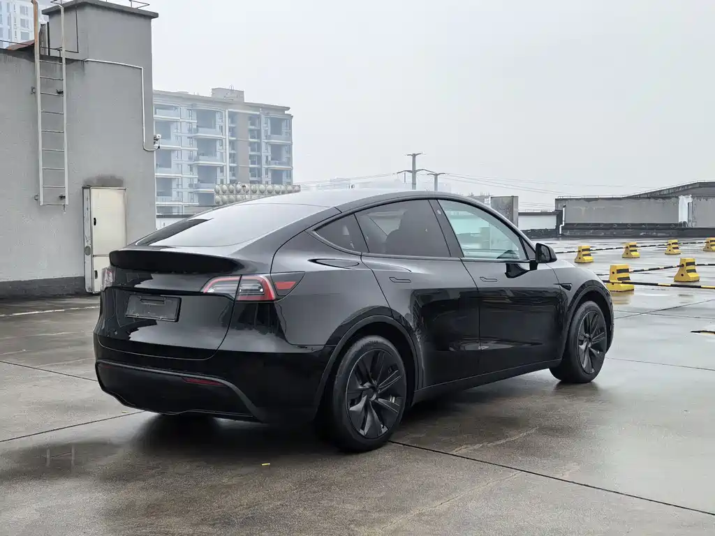 Tesla Model Y — миниатюра 3