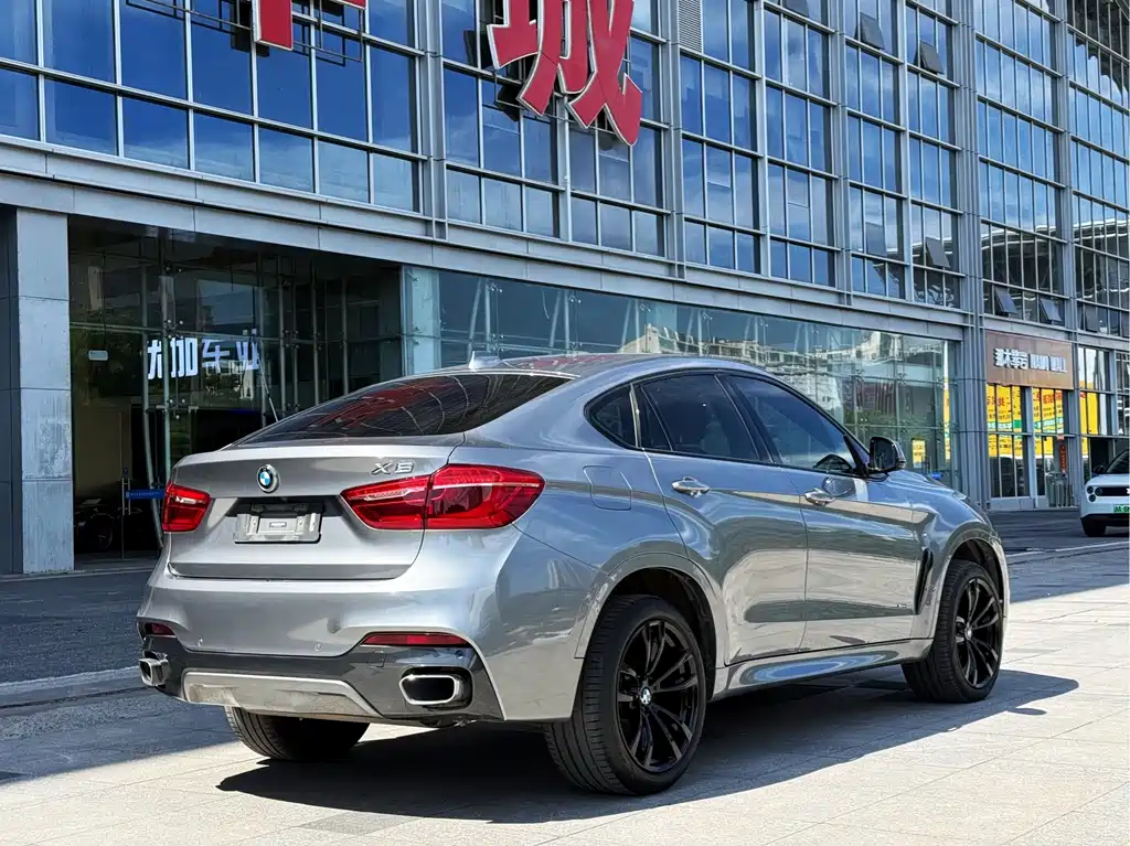 BMW X6 — миниатюра 3
