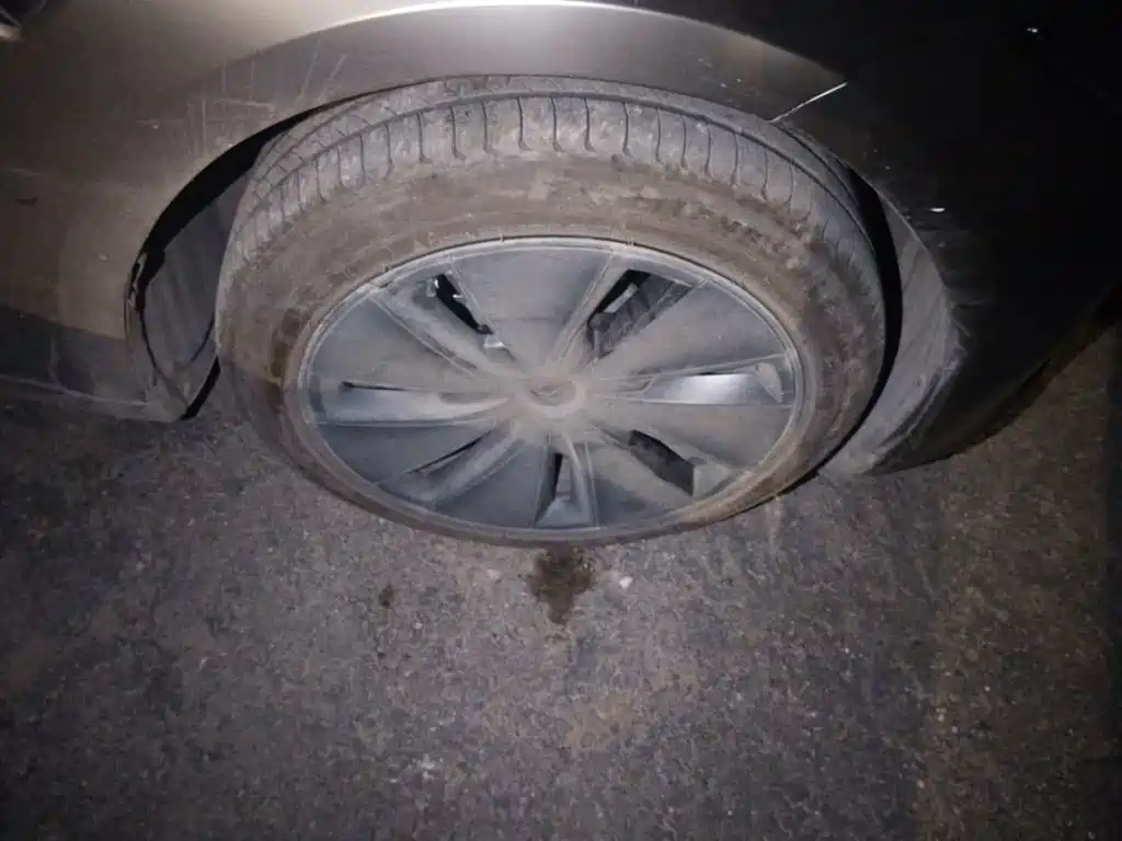Tesla Model 3 — миниатюра 25