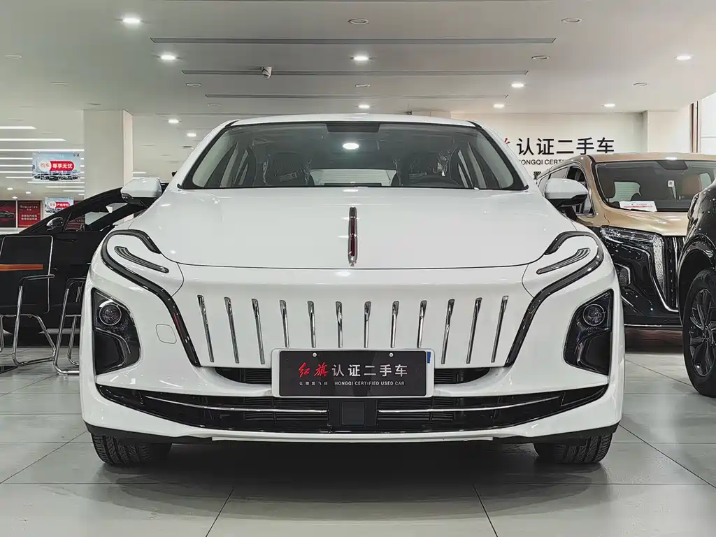 Hongqi HONGQI E QM5