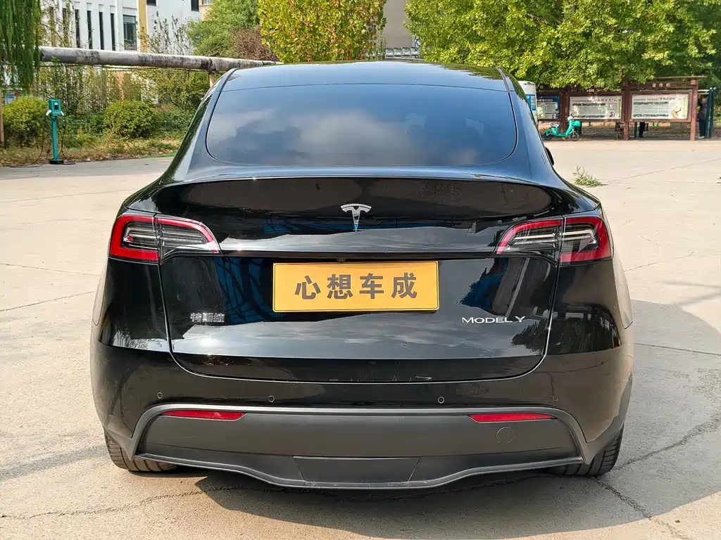 Tesla Model Y — миниатюра 4
