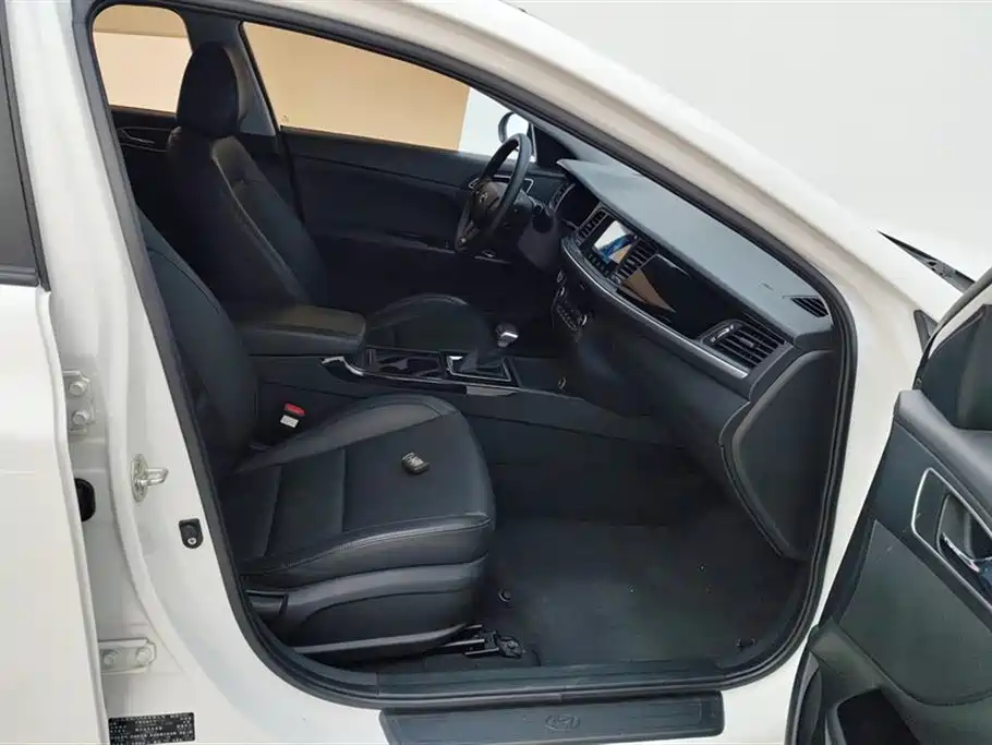 HYUNDAI NAME PICTURE