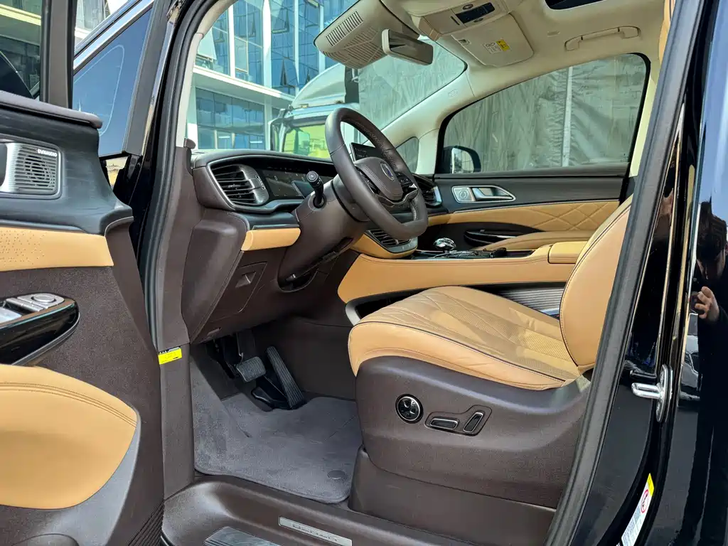 Denza Denza D9 — миниатюра 9
