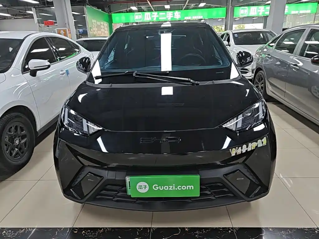 BYD Seagull — миниатюра 3