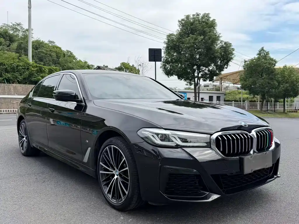 BMW 5 Series — миниатюра 2